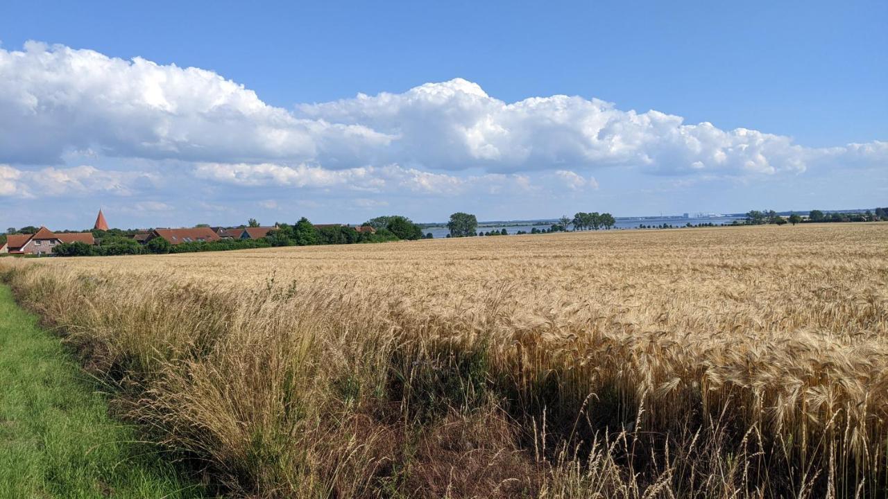 Ferien Auf Der Insel Poel Apartman Kirchdorf  Kültér fotó